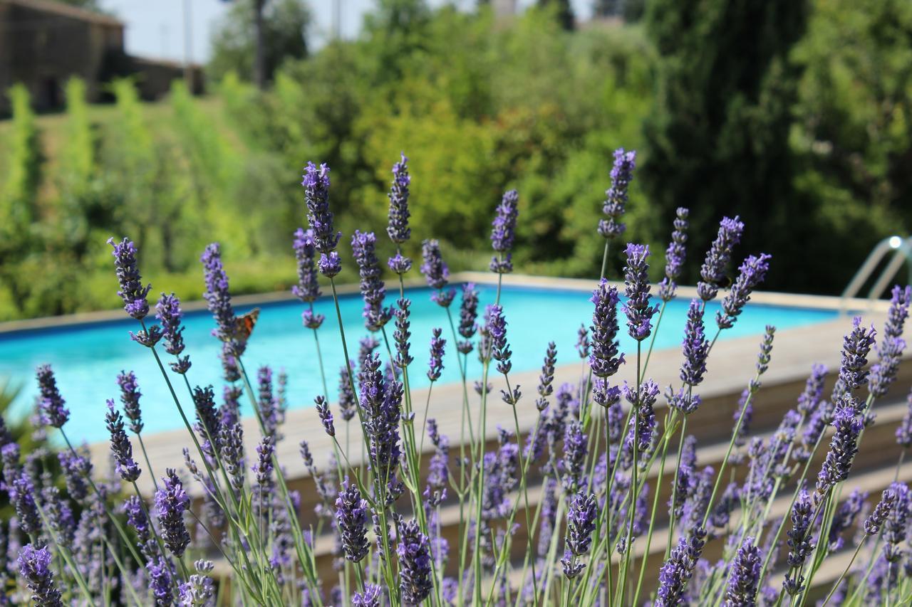 Villa Privata Per Famiglie O Amici Barberino di Val dʼElsa Kültér fotó